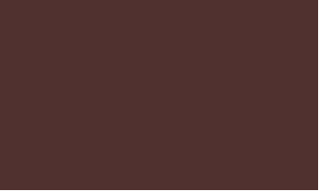 Dark Brown - corporate colours